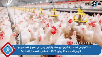 استقرار في أسعار الفراخ البيضاء وتباين جديد في سوق الدواجن والبيض اليوم الجمعة 25 يوليو 2025.. فما هي الأسعار الحالية؟